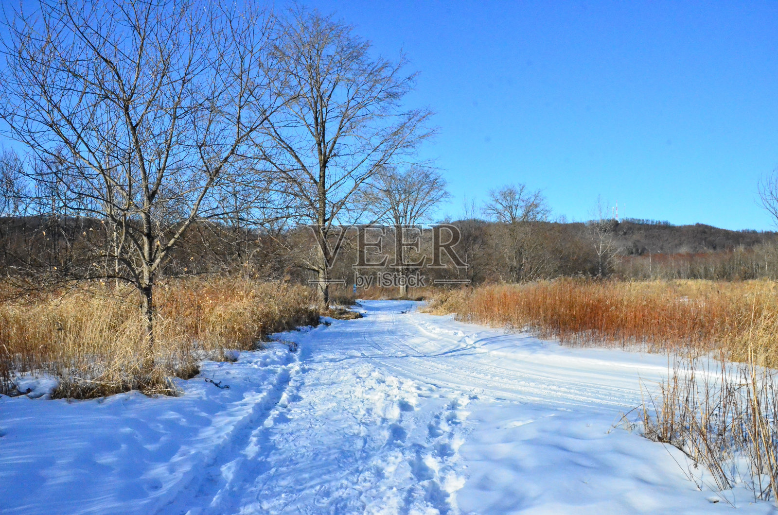 在日本北海道风景秀丽的德胜大宽，可以尽情享受人间的乐趣，享受世界上罕见的大型温泉，还可以利用绝佳的场地进行户外运动。照片摄影图片