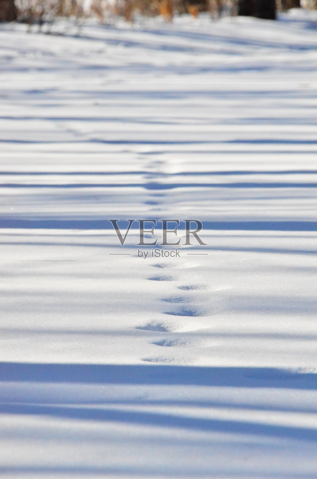 在日本北海道风景秀丽的德胜大宽，可以尽情享受人间的乐趣，享受世界上罕见的大型温泉，还可以利用绝佳的场地进行户外运动。照片摄影图片