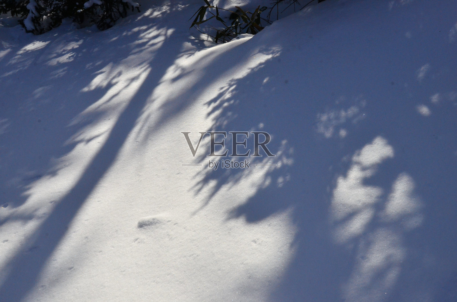 石林别湖位于日本北海道东部的德胜县。它隐藏在海拔810米(2658英尺)的Shikaribetsu火山群中间的大雪山深处。照片摄影图片