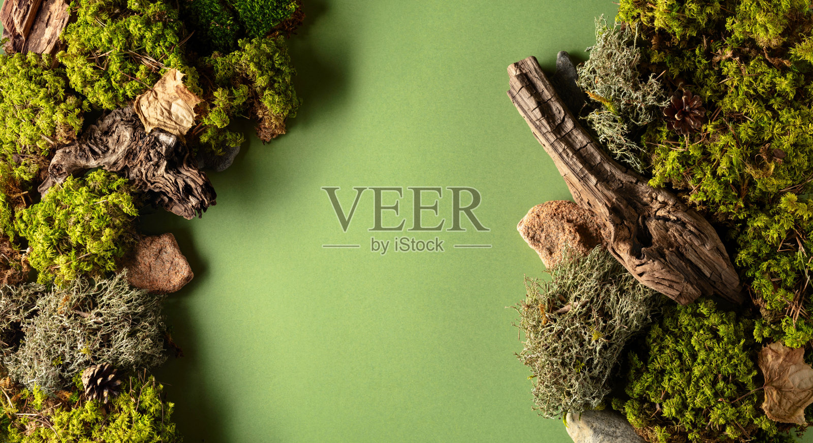 抽象的北方自然景观与组成的地衣，苔藓和旧的障碍在一个绿色的背景。照片摄影图片