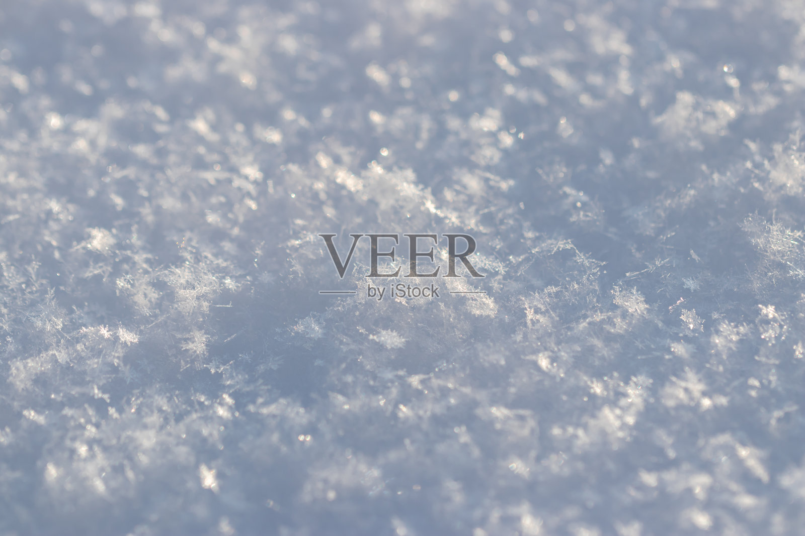 雪原上有许多雪花照片摄影图片