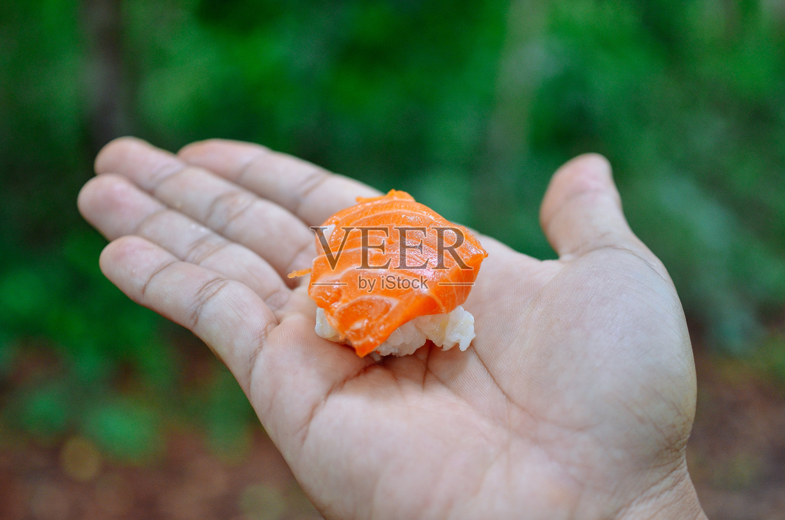 美味的泰国寿司照片摄影图片