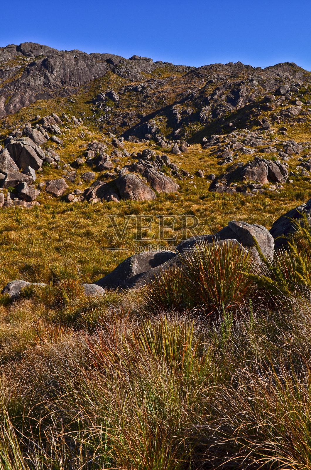意大利高地的一个充满巨石的山谷照片摄影图片