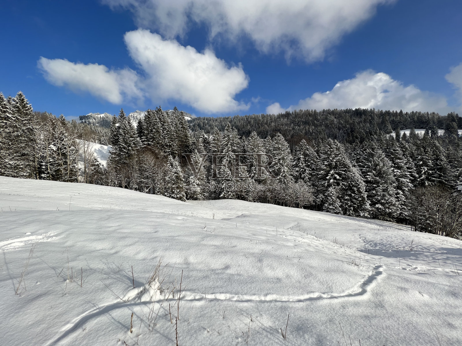 美妙的冬季徒步小径和在瓦伦湖或瓦伦施塔特湖(瓦伦湖)上的痕迹，以及在瑞士阿尔卑斯山新鲜的高山积雪中，阿姆登-圣加仑州，瑞士(瑞士)照片摄影图片