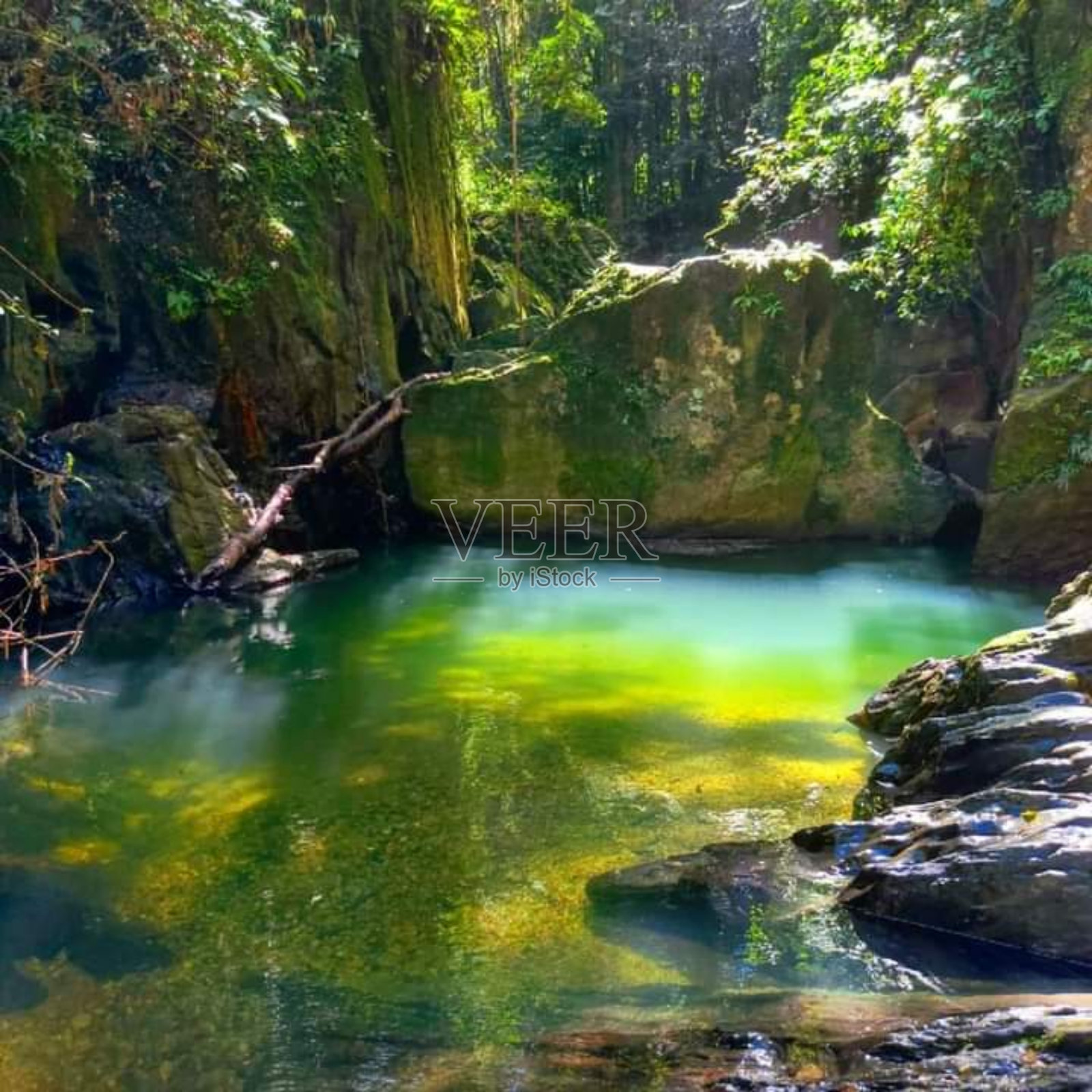 清水河、树、岩的户外风景自然形象照片摄影图片