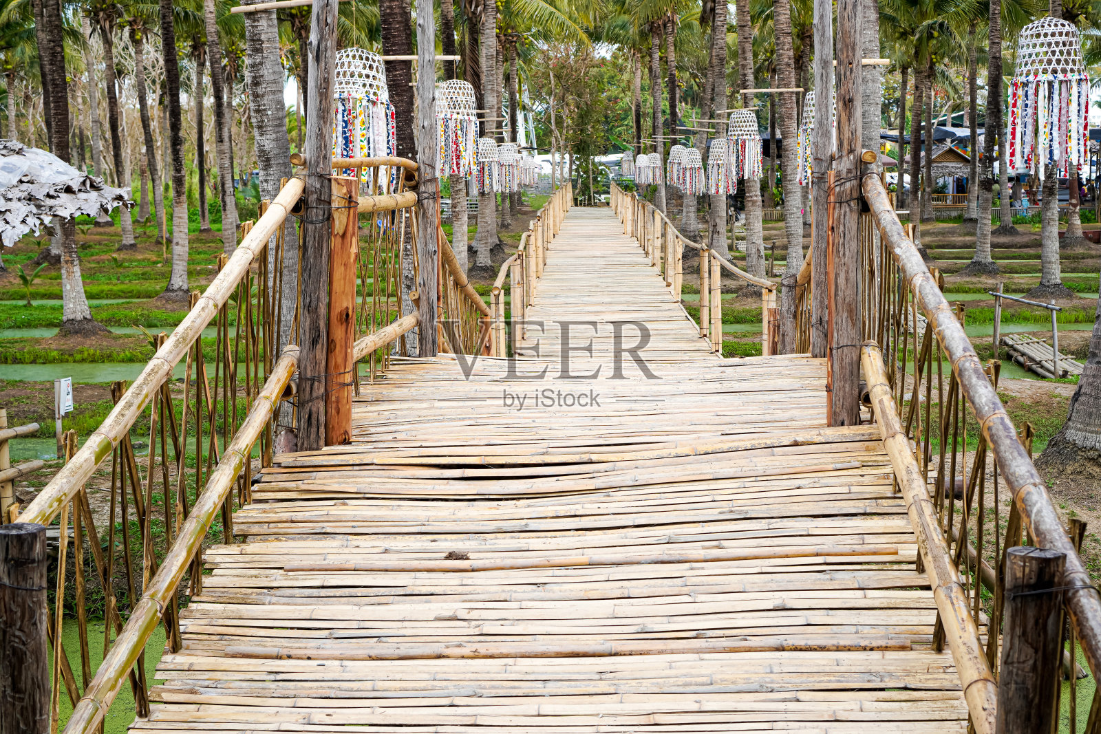泰国清迈，一座又大又长的竹桥，游客可以在公共椰子种植园的护城河上行走照片摄影图片