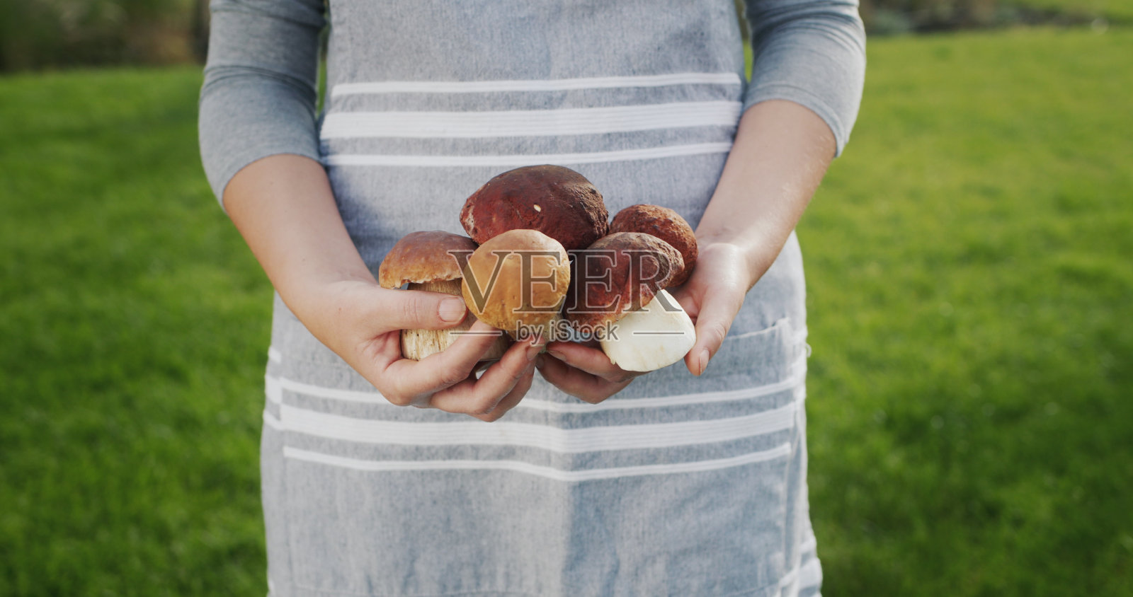 手里拿着菌菇的女人照片摄影图片