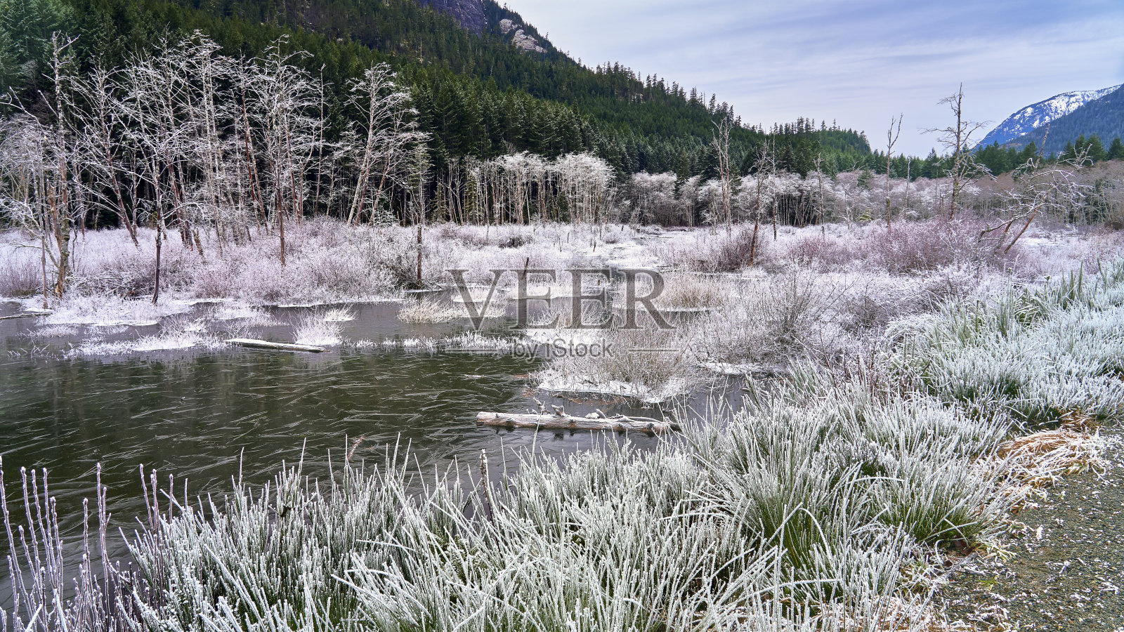 冰冻的池塘、远处的树木和山脉与白雪覆盖的草地形成鲜明对比照片摄影图片