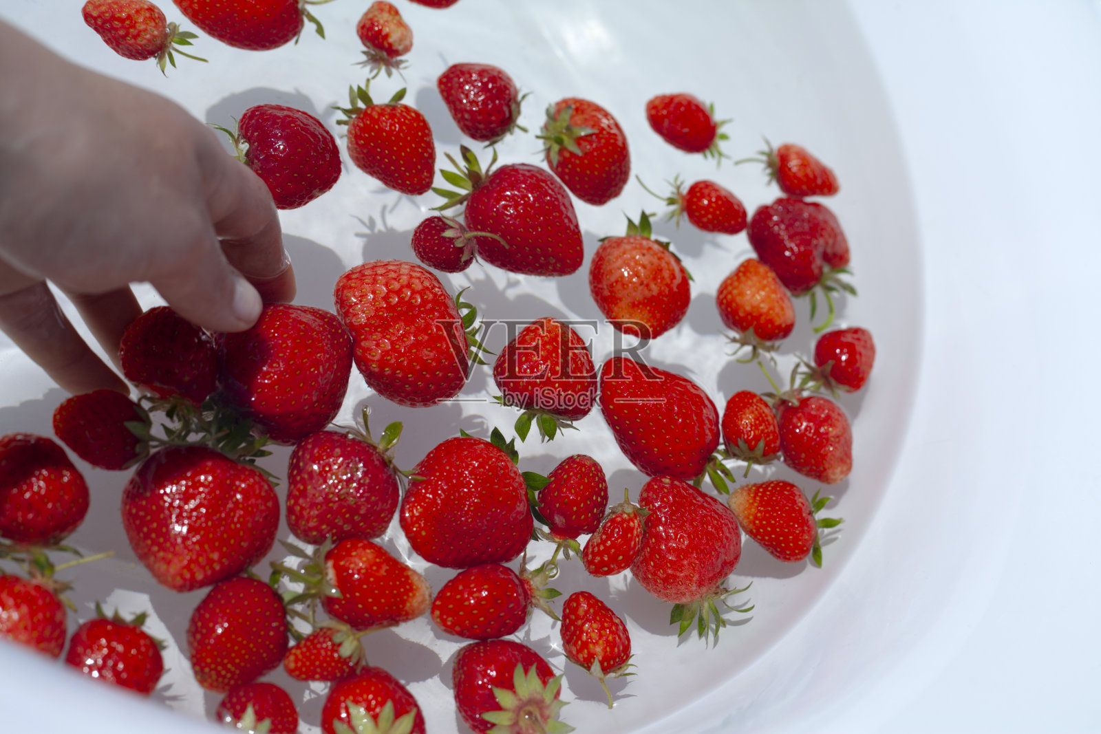 在花园里的草莓果实，收获的时候——在大白碗里洗草莓活动。照片摄影图片