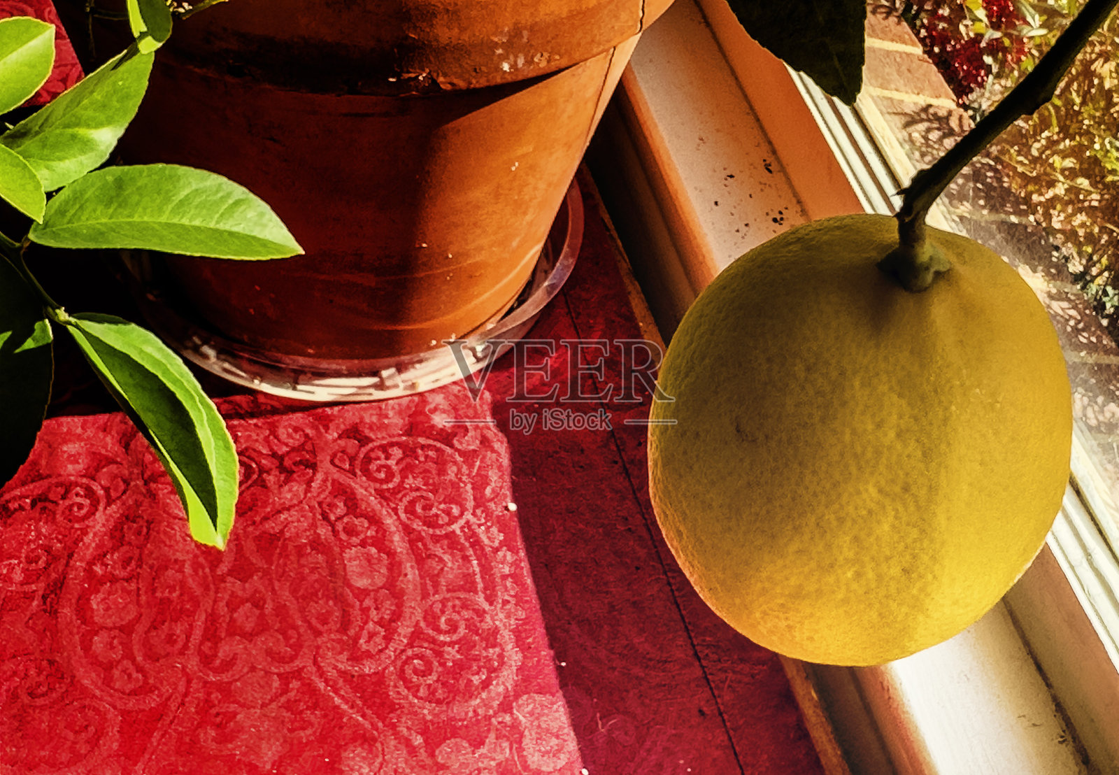 抽象的水果，柠檬在窗口照片摄影图片