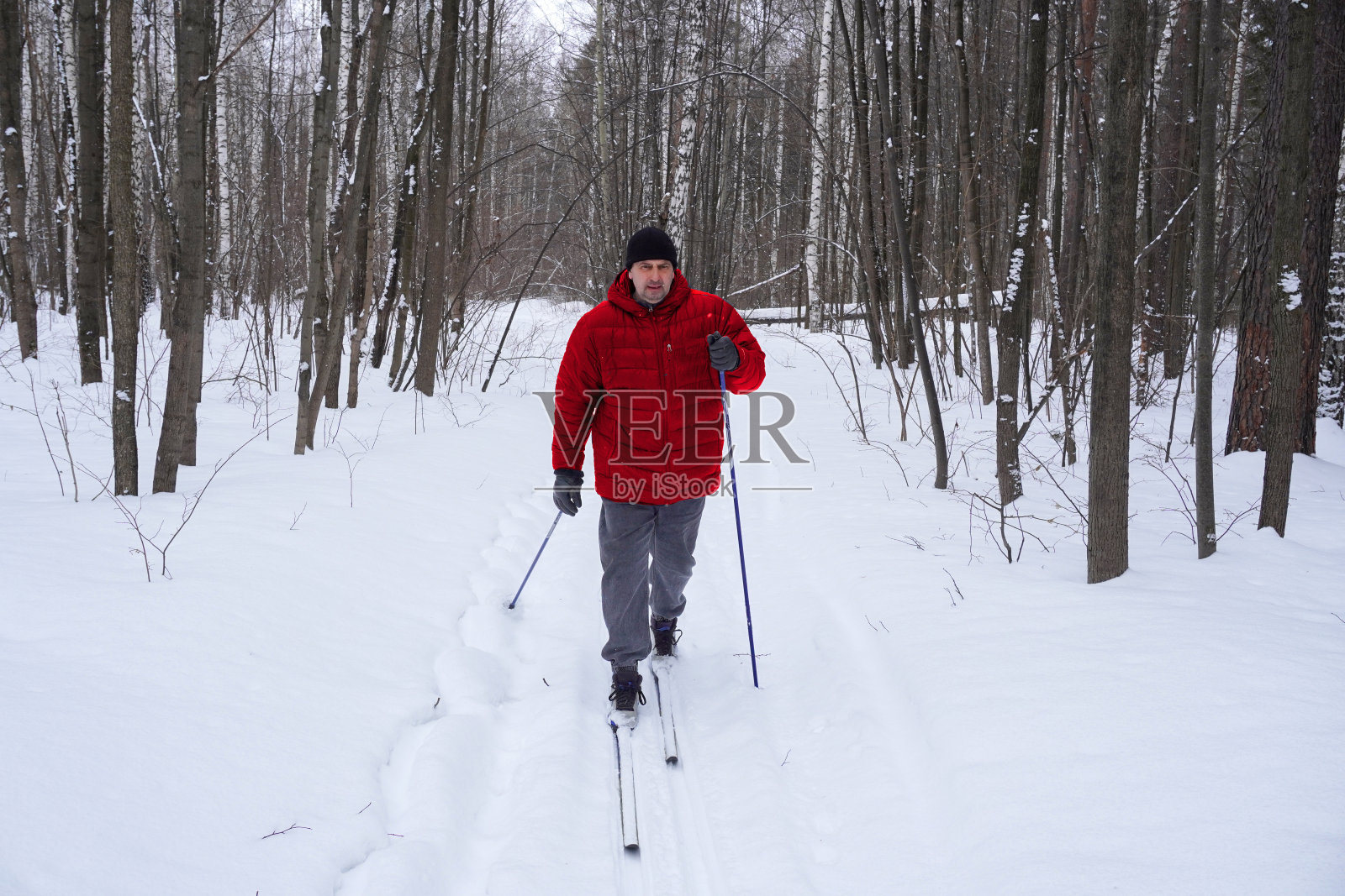 一个50岁的男人冬天在森林里滑雪照片摄影图片