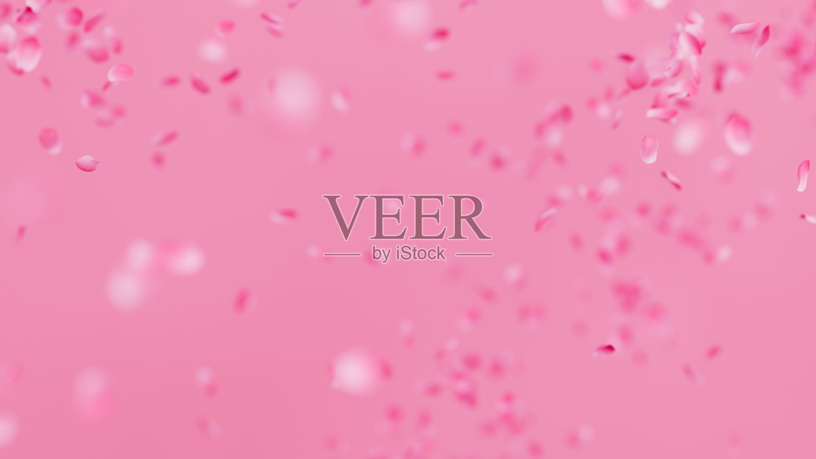 粉红色的玫瑰花瓣在背景中飞舞。情人节概念。3D渲染图照片摄影图片