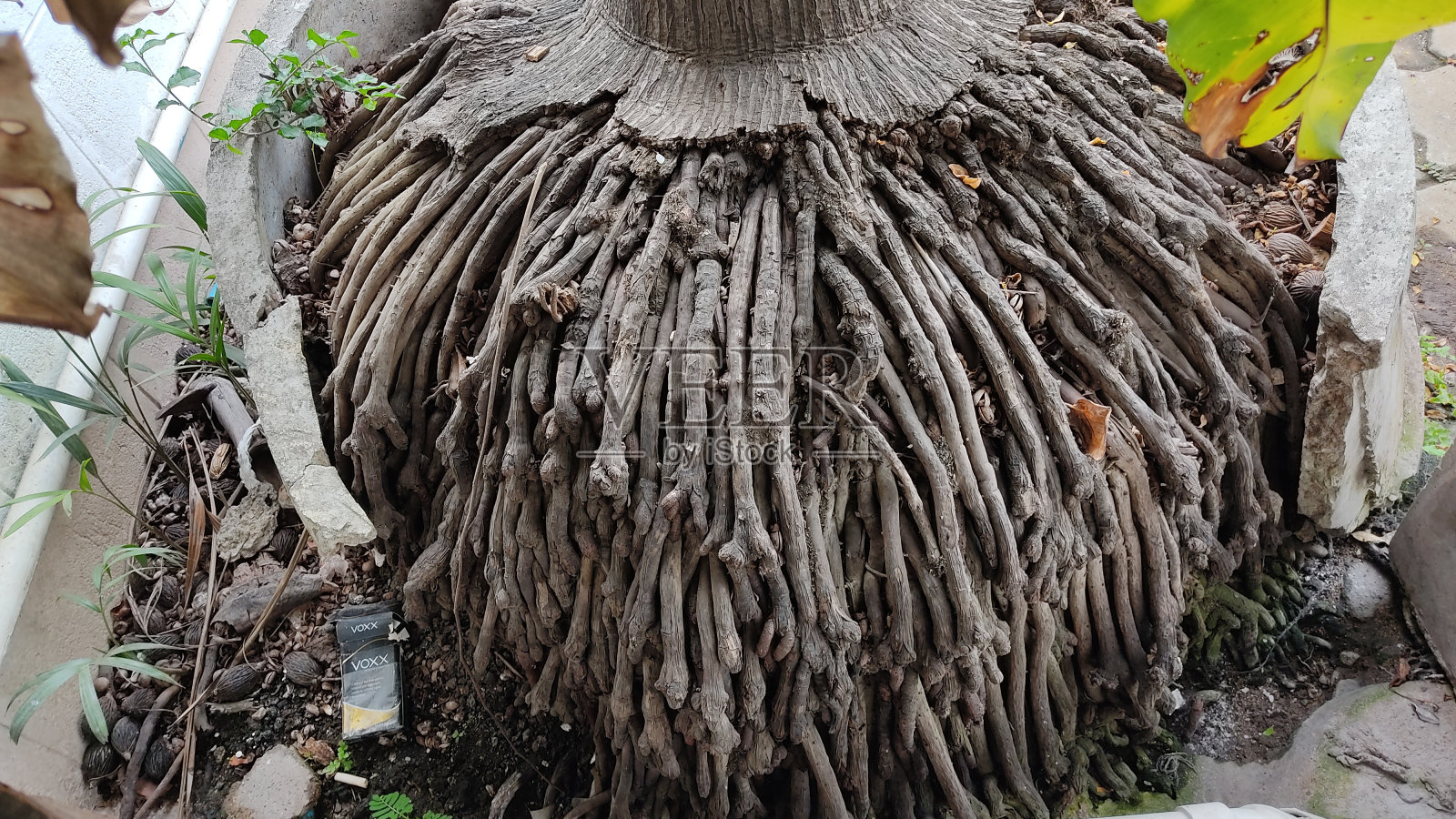 纹理照片摄影图片