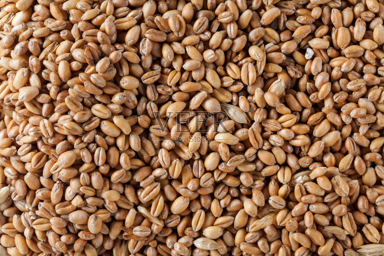 麦粒背景照片摄影图片