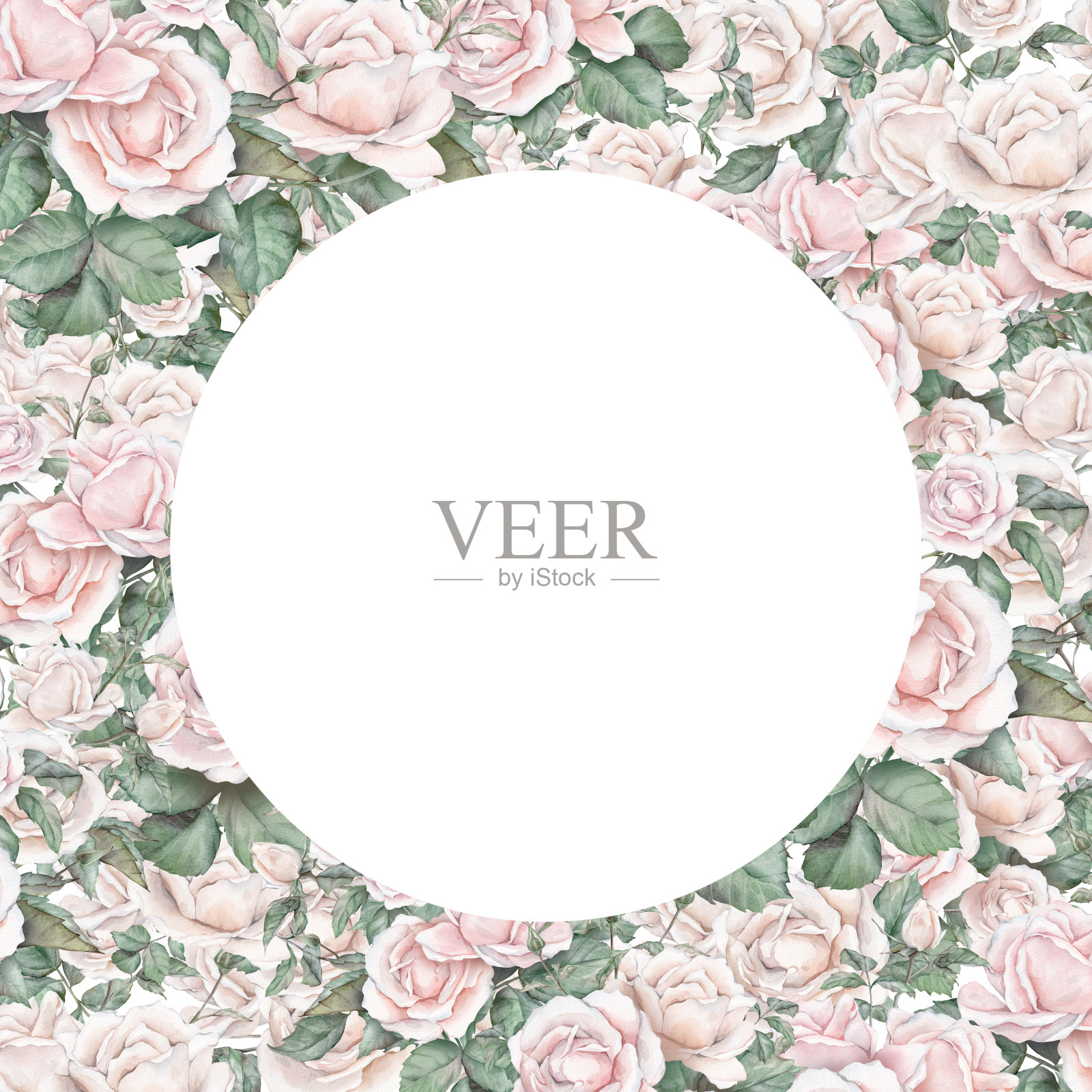 水彩邀请设计与淡奶油玫瑰和叶子。植物水彩插图花。模板与花卉元素。花环或圆形框架手画在孤立的背景插画图片素材