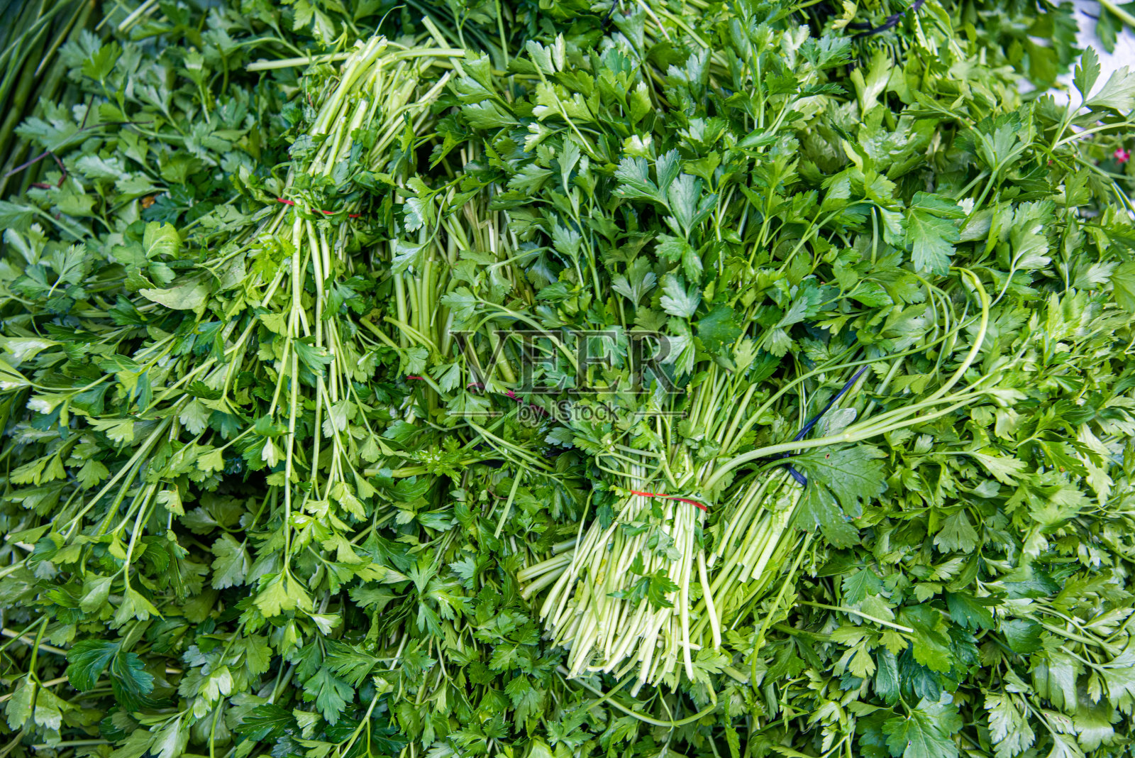 市场摊位上一束束新鲜的欧芹照片摄影图片