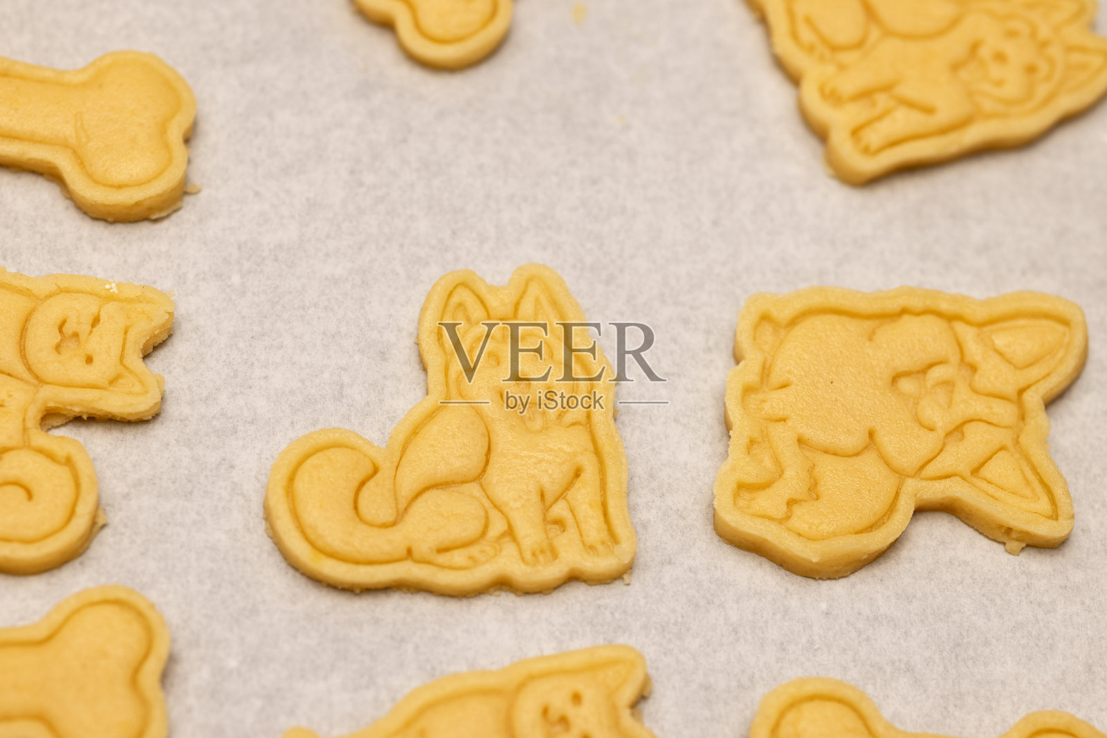 饼干上有不同品种的狗的图案，然后放在烤盘上烤照片摄影图片