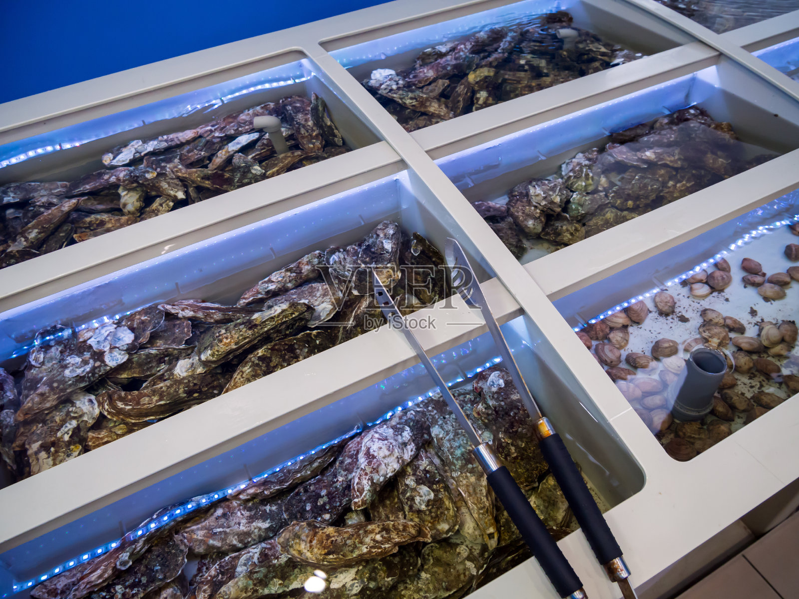 Showcase with fresh sea delicacies照片摄影图片