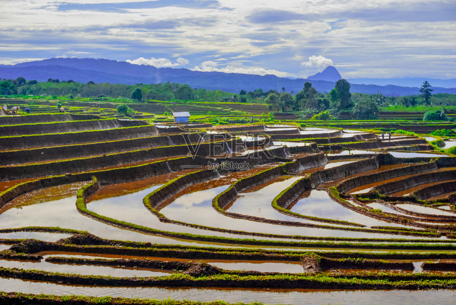 从印度尼西亚的山脉和热带森林欣赏美丽的早晨景色照片摄影图片
