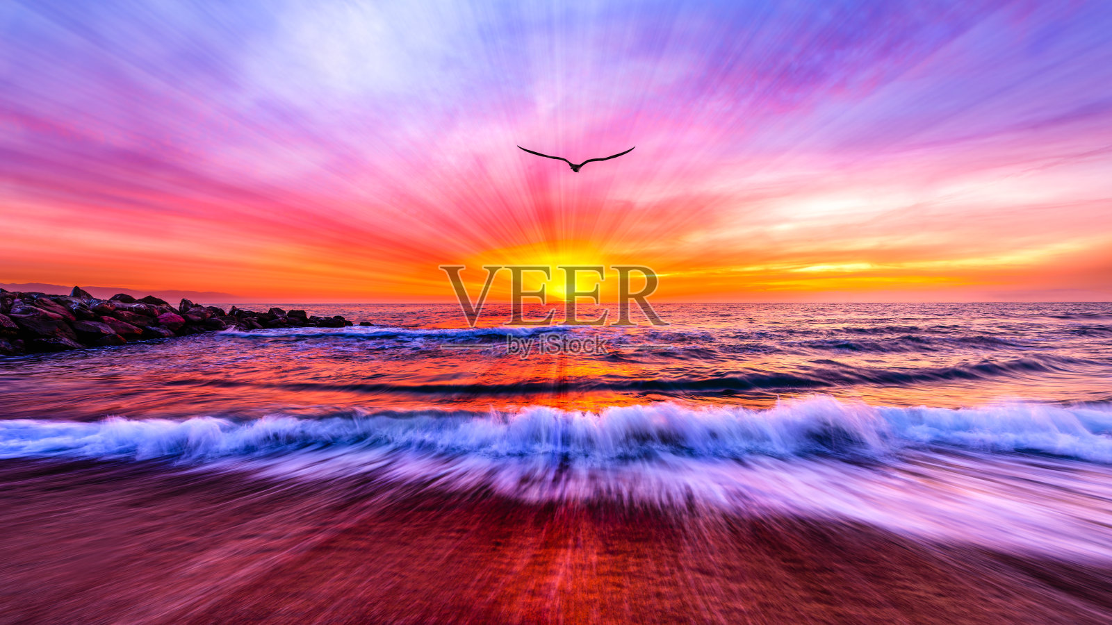 鸟飞海滩日出自由灵感神圣的太阳光线日落的颜色照片摄影图片