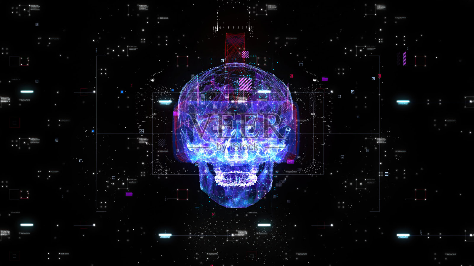 使用VR草的骨架照片摄影图片