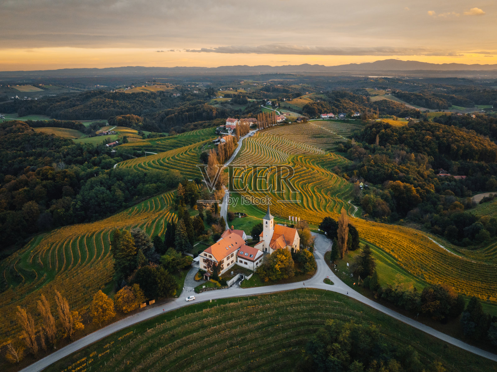 斯洛文尼亚秋天马里博尔附近的葡萄园。照片摄影图片