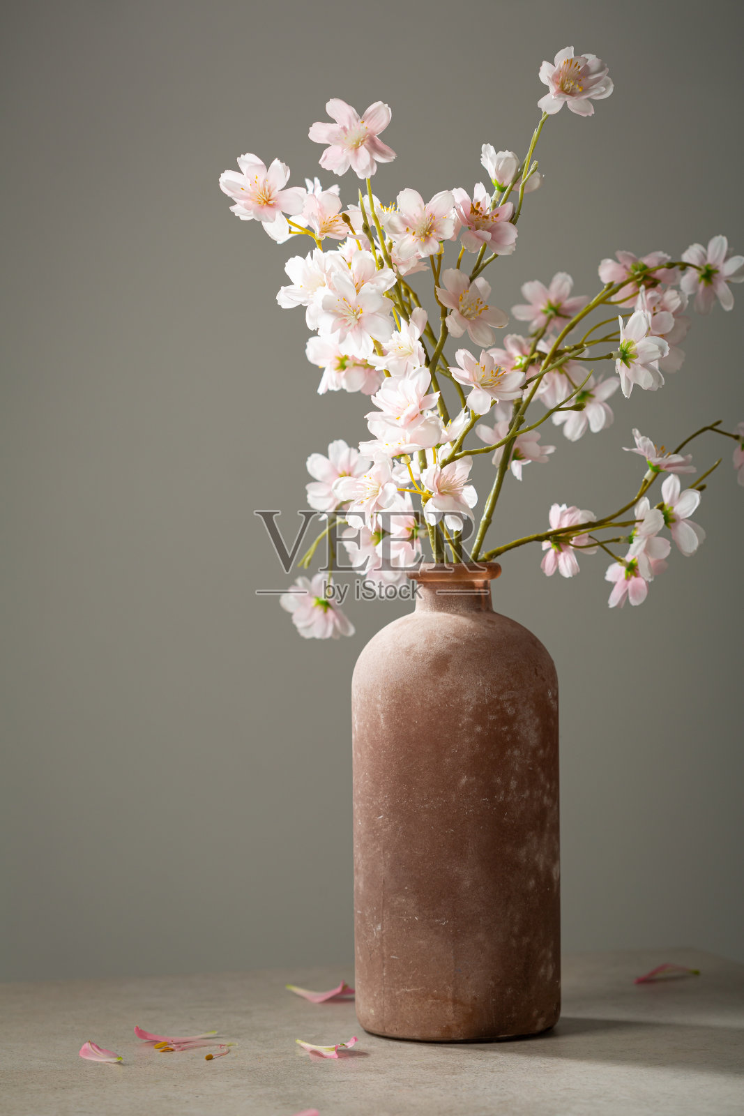 粉红色的花在花瓶绿色背景春天的概念照片摄影图片