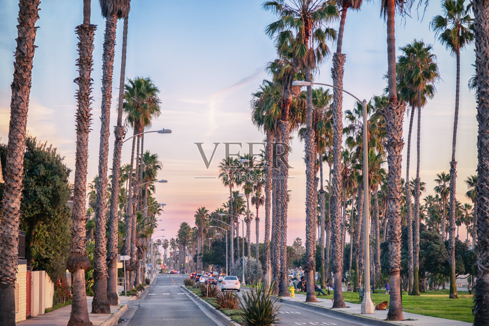 圣莫尼卡海洋大道照片摄影图片