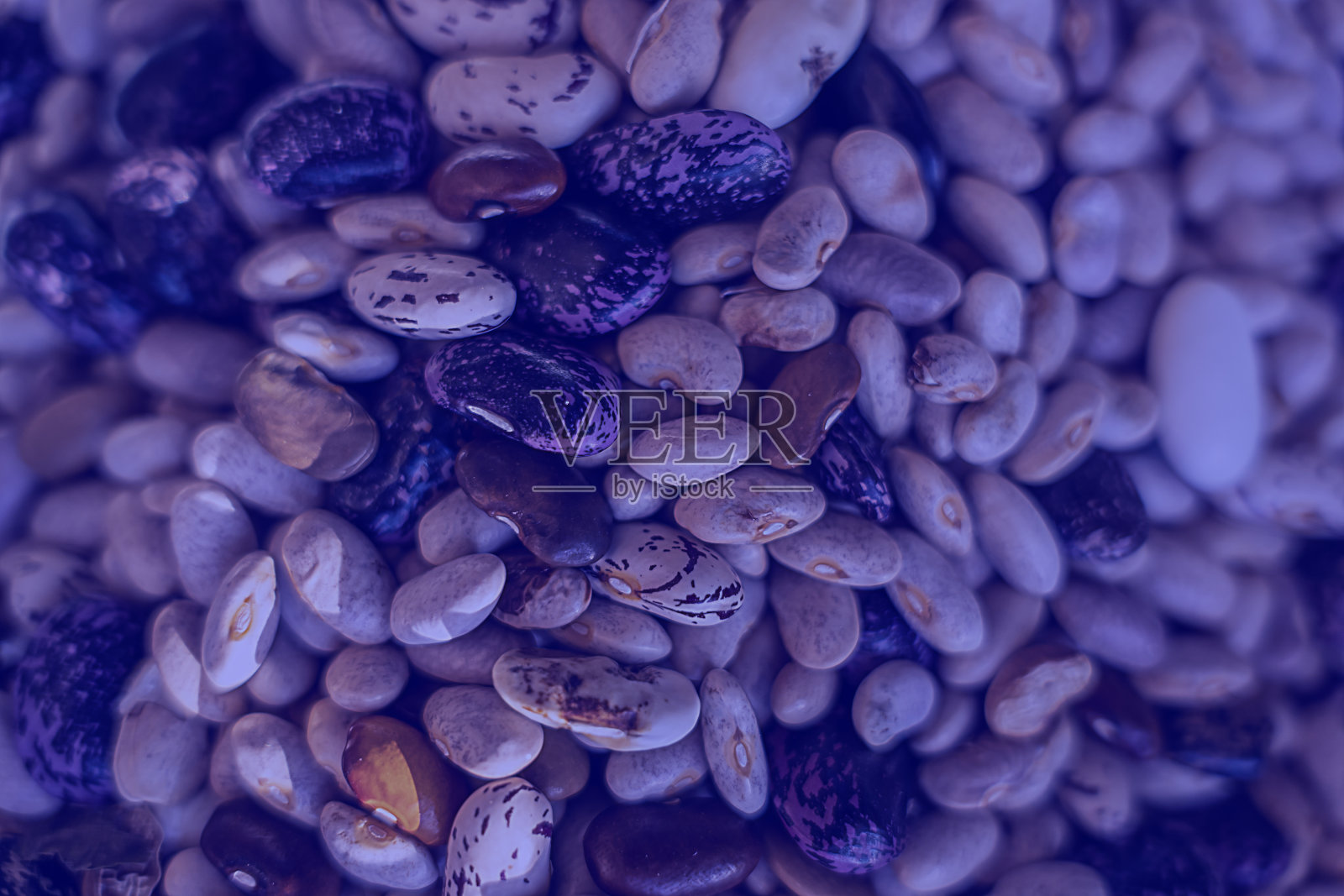 干豆沙。各种各样的干豆特写照片摄影图片