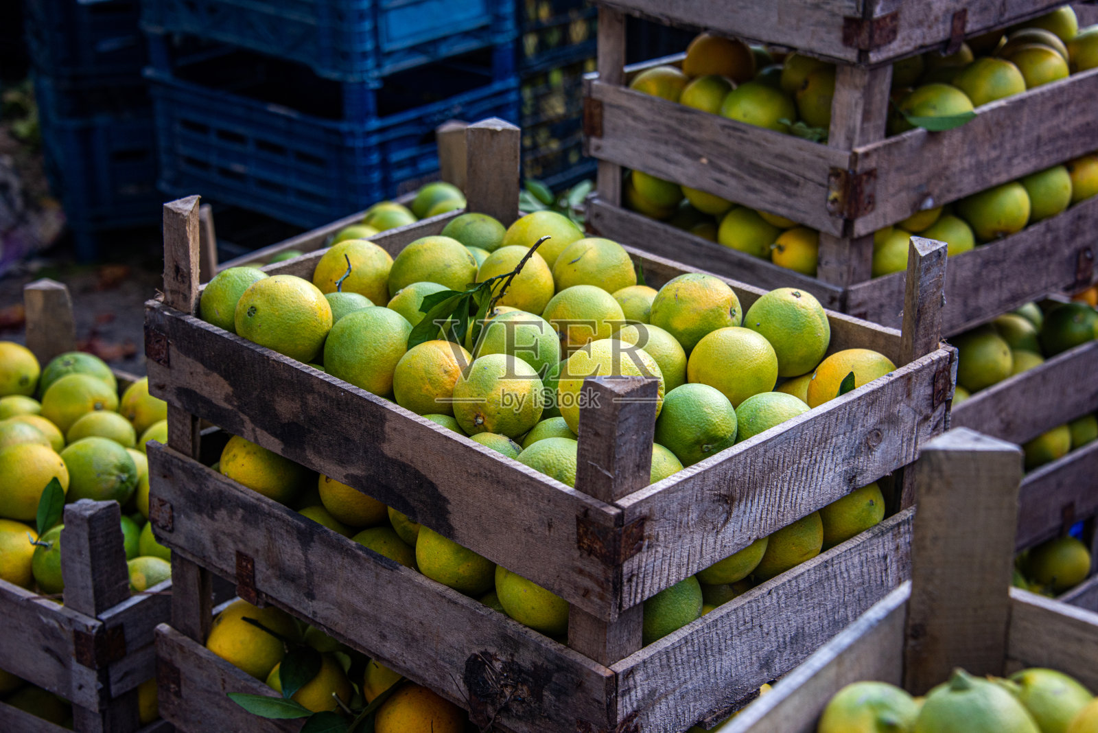 市场上的柠檬装在板条箱里照片摄影图片