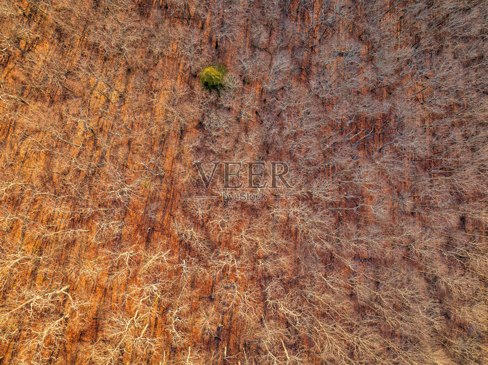 远处森林冬季鸟瞰图照片摄影图片