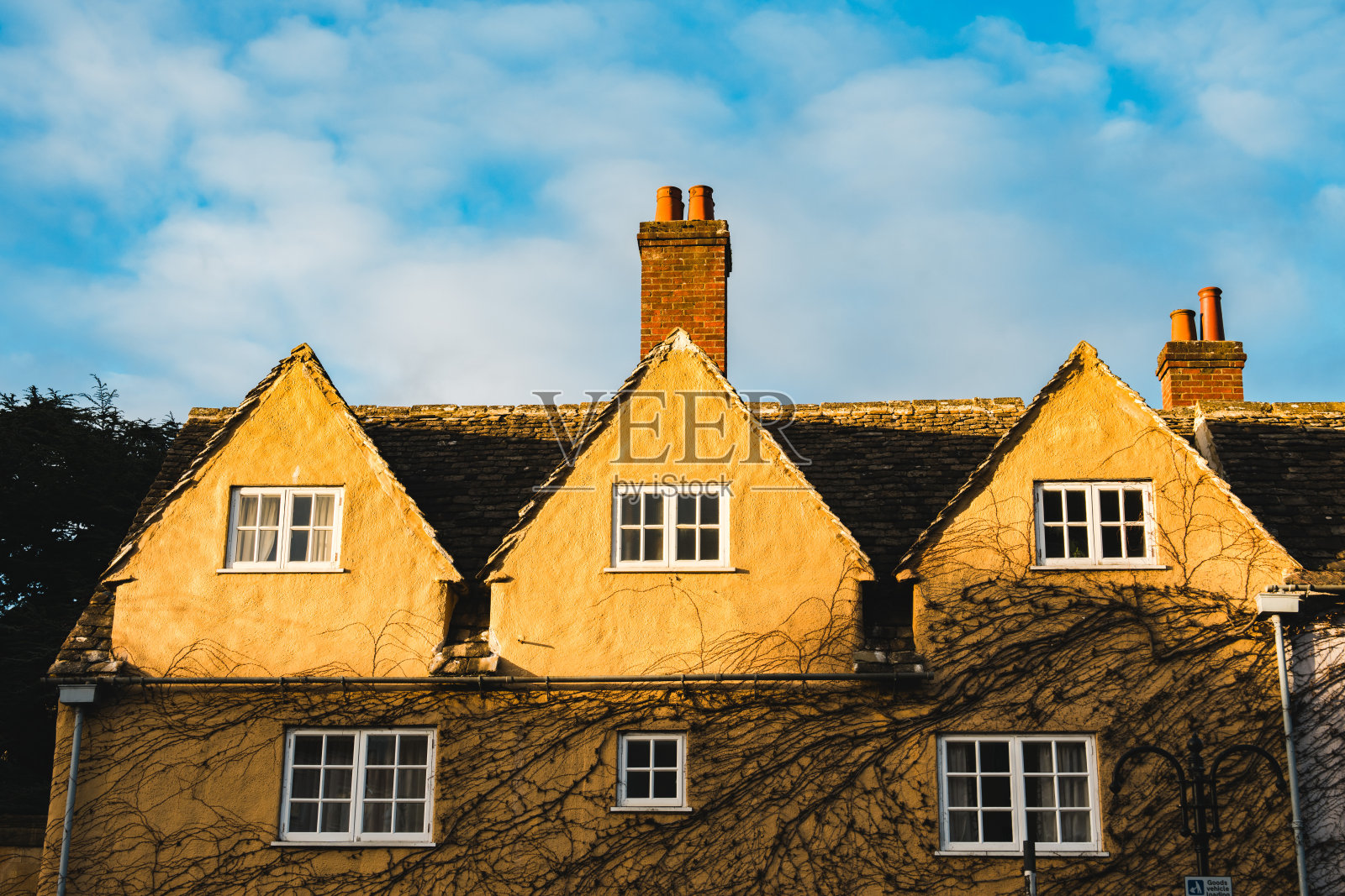 墙上的窗户，冬天爬山虎叶子落光了照片摄影图片