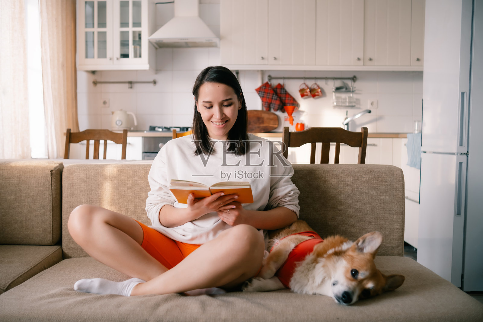 女人和可爱的狗狗坐在沙发上，在舒适的家里看书照片摄影图片