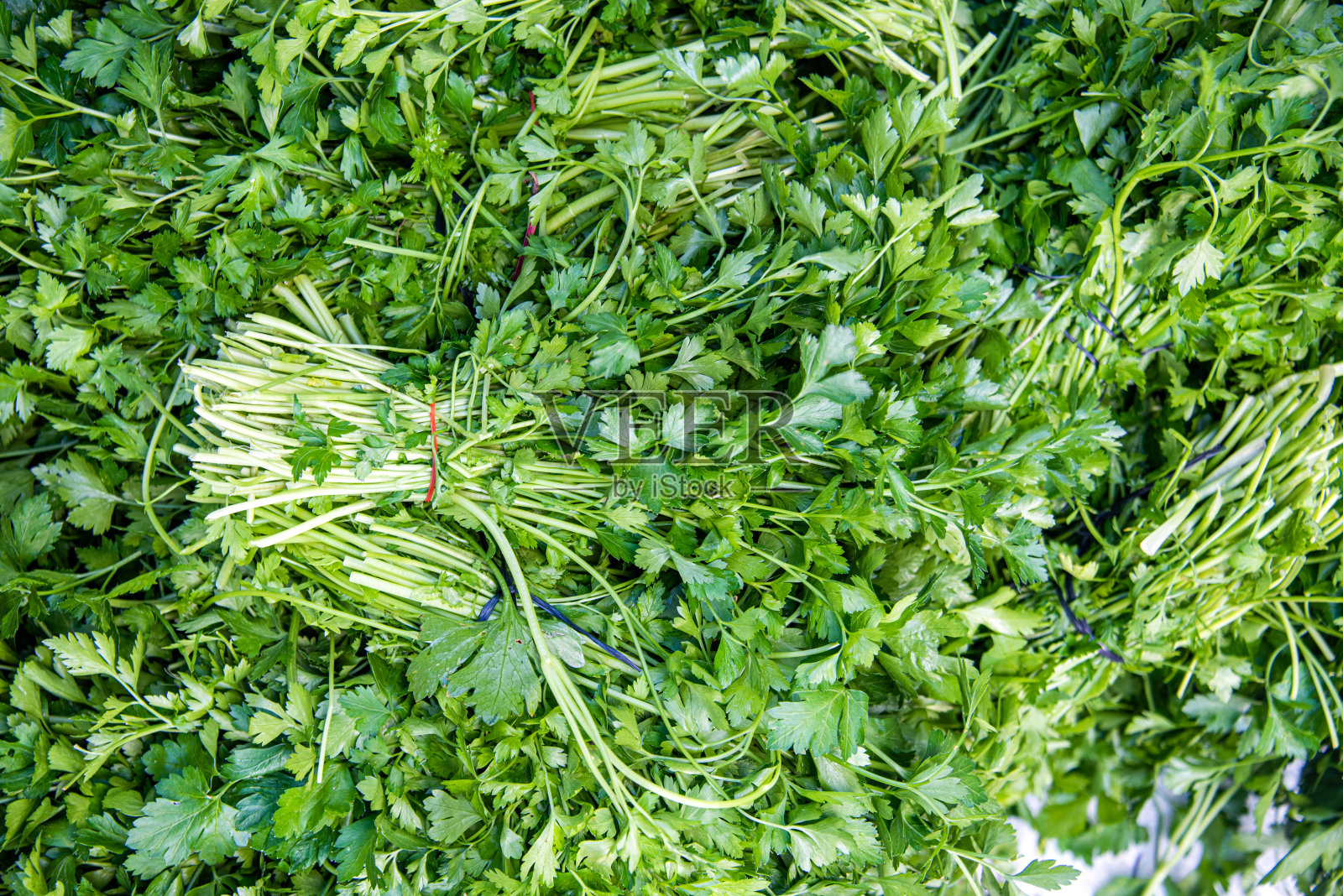 市场摊位上一束束新鲜的欧芹照片摄影图片