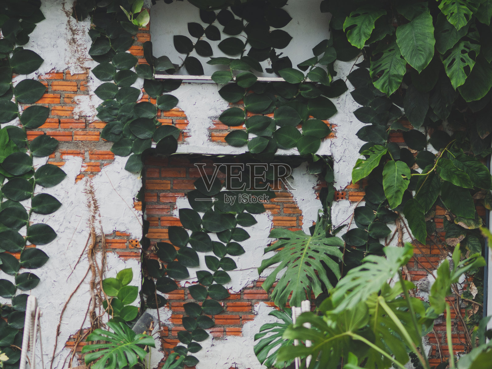 背景是砖和离开在泰国照片摄影图片