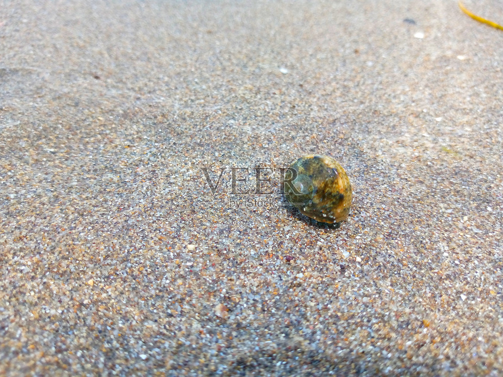 白色沙滩背景照片摄影图片