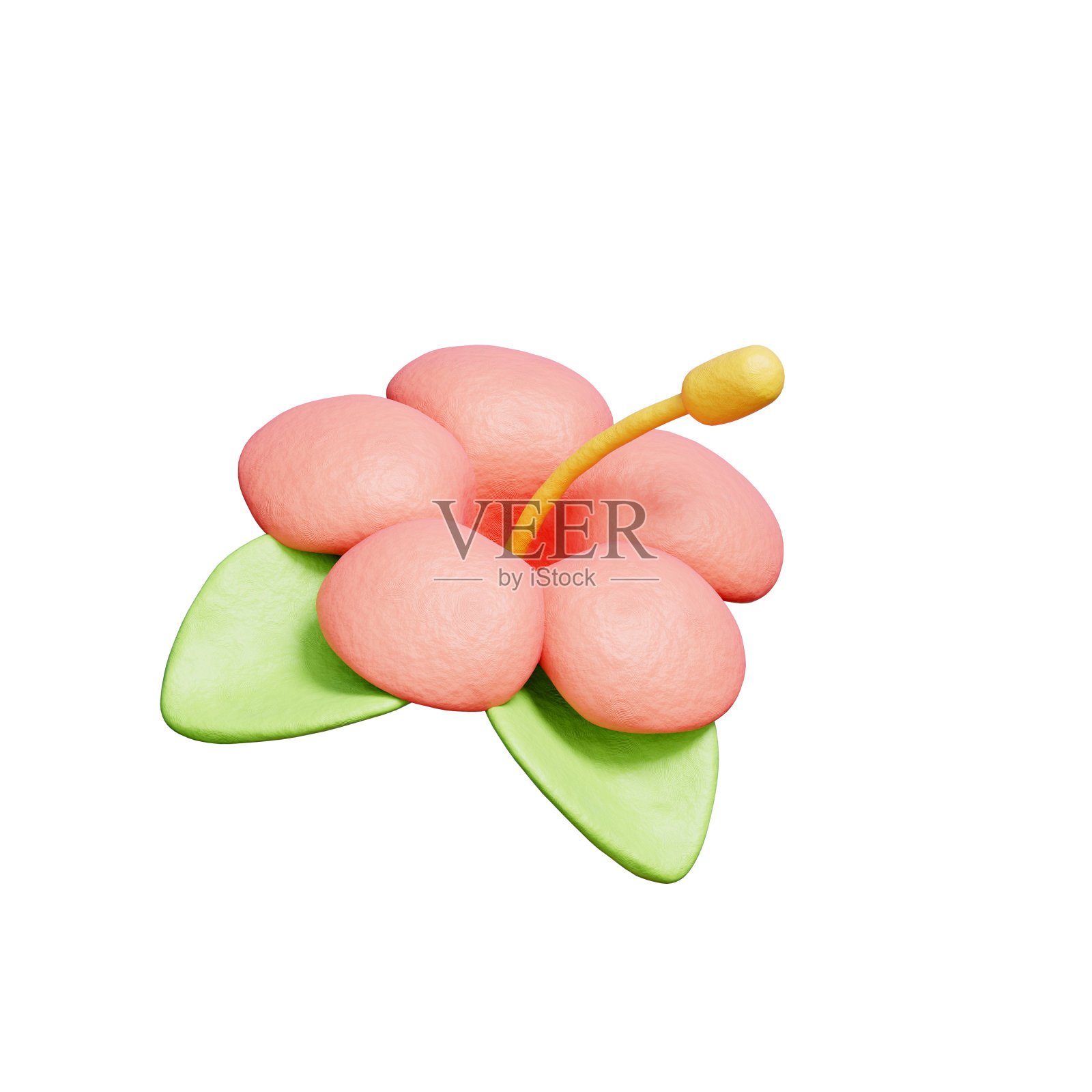 3D芙蓉花，夏威夷元素，夏日热带，假日度假。照片摄影图片