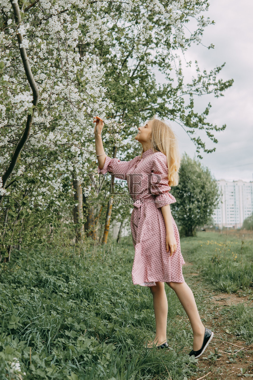 春天，金发女郎在开满樱花的花园里散步。女性肖像，特写。一个穿着粉色圆点连衣裙的女孩。照片摄影图片