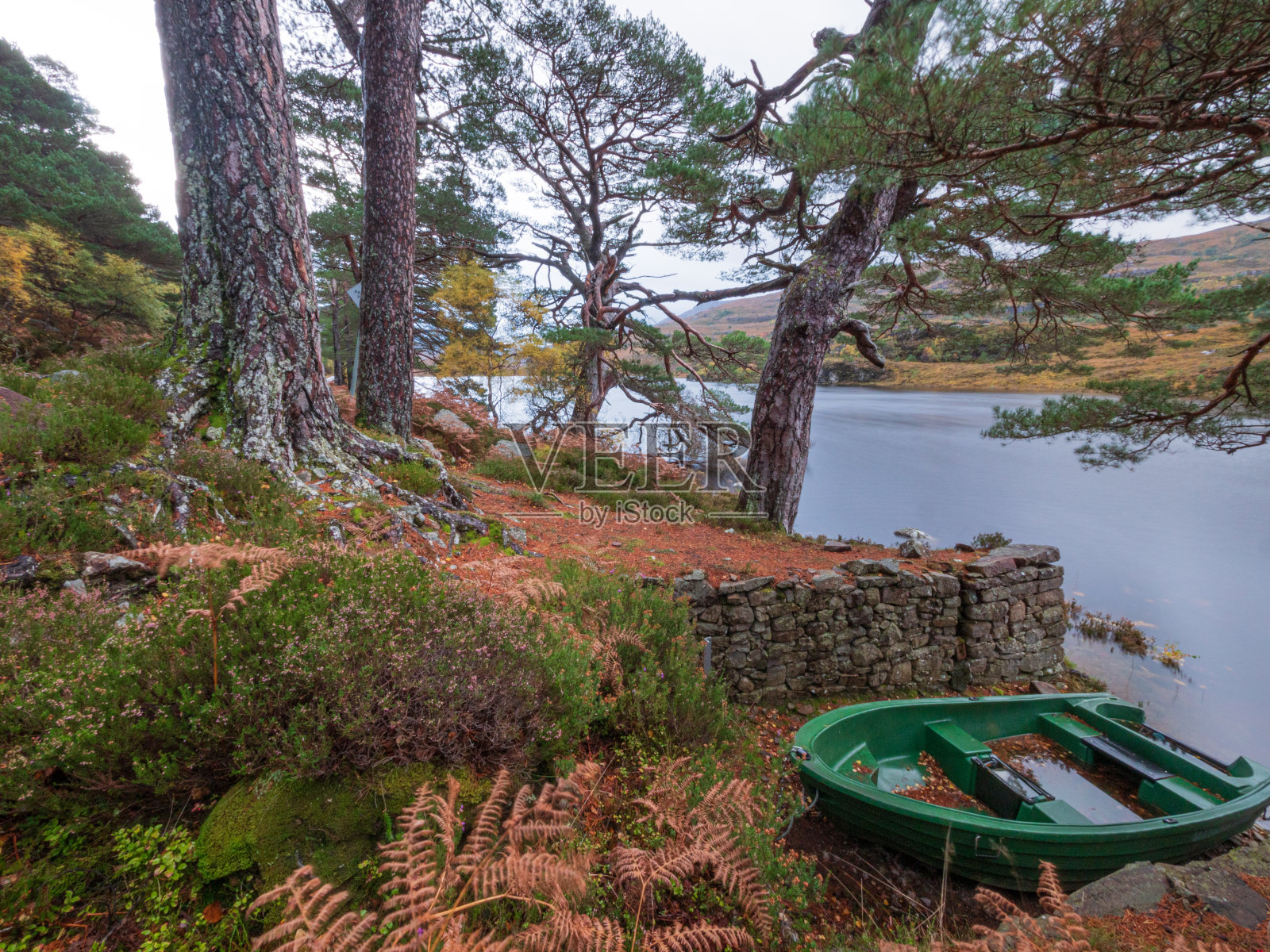 苏格兰高地上有苏格兰松和船的湖照片摄影图片