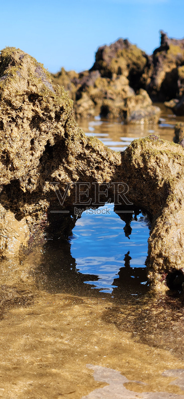 没有波浪的海滩，珊瑚形成，蓝天照片摄影图片