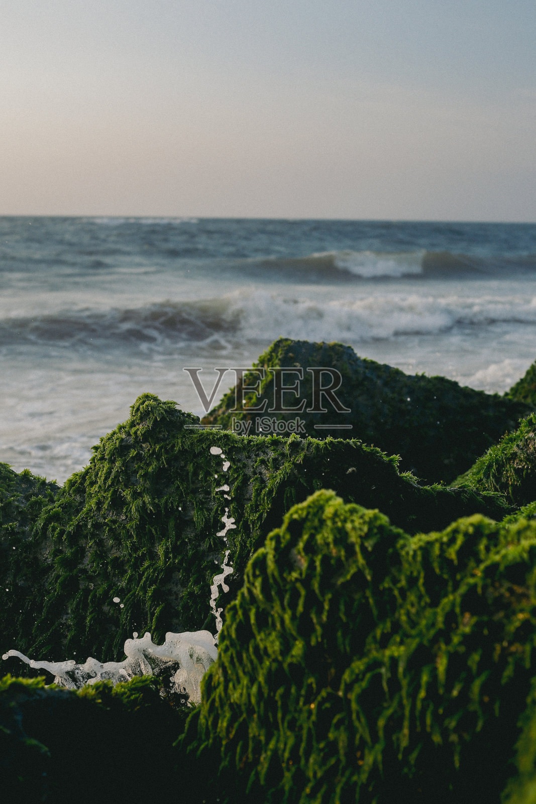 阳光明媚时海岸上的巨石照片摄影图片