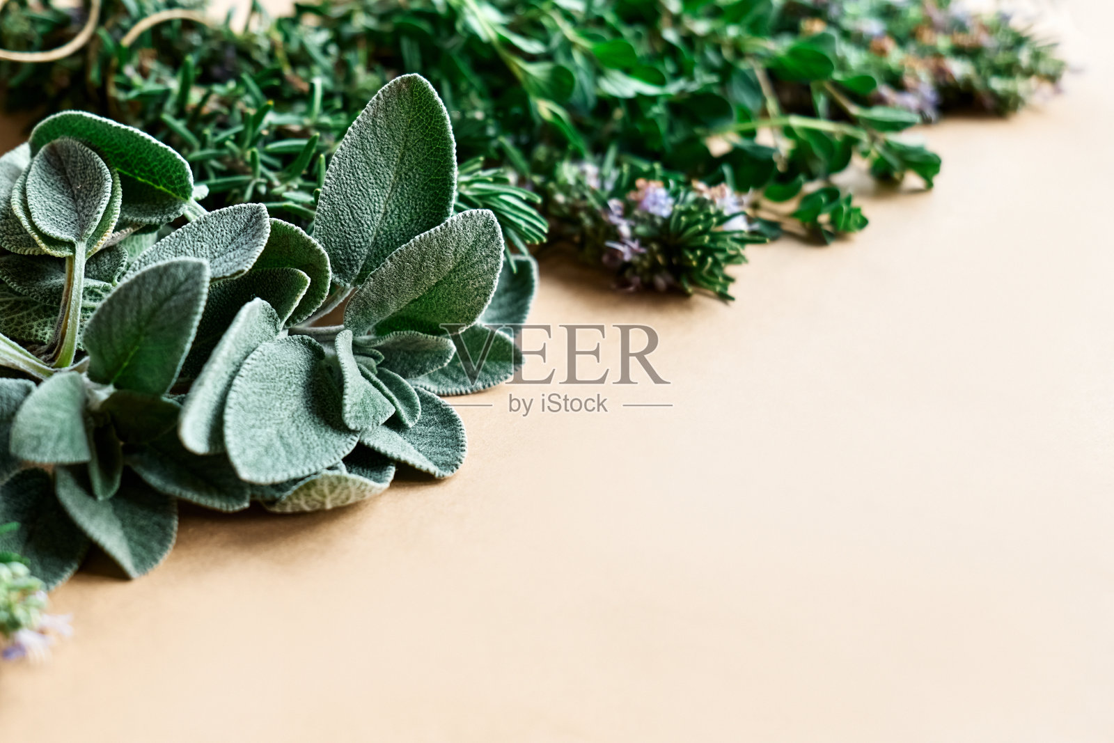 草药。鼠尾草，迷迭香和牛至叶在手工纸上。干燥用环保药材的制备。替代医学。照片摄影图片