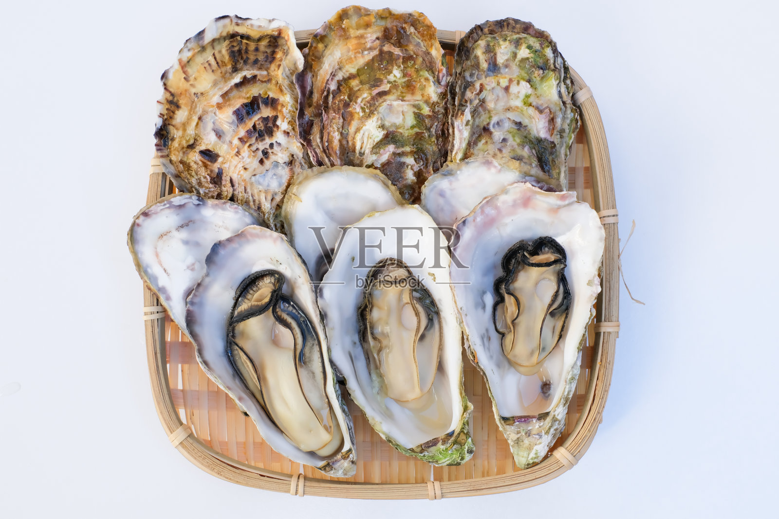 这是一只带壳的牡蛎照片摄影图片