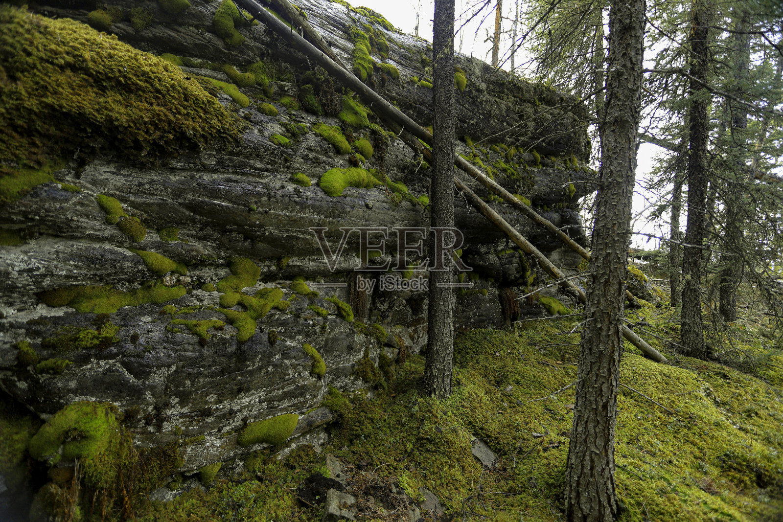 贾斯珀国家公园照片摄影图片