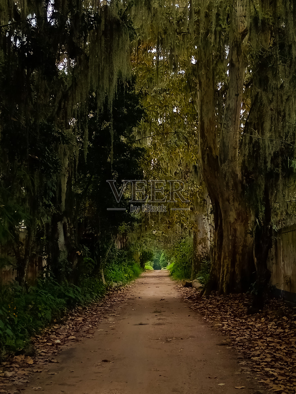 欲望隧道照片摄影图片