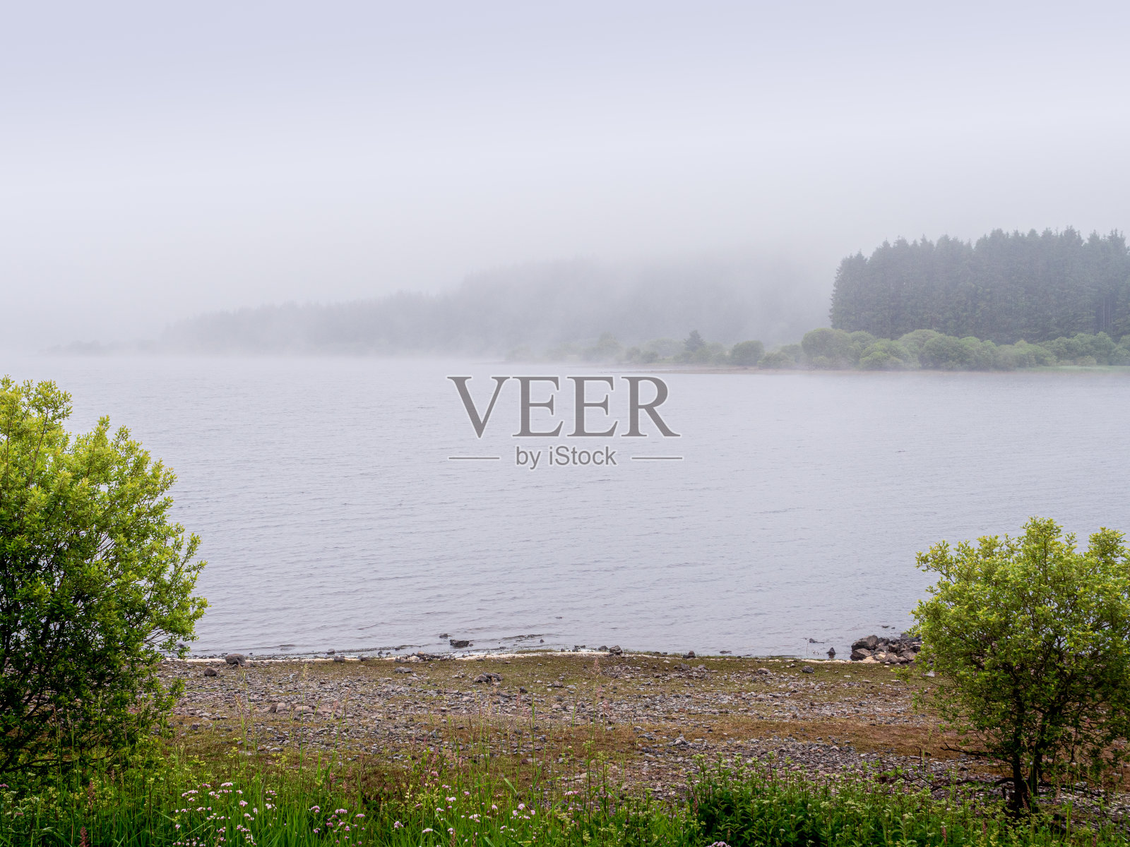 雾天的水库照片摄影图片