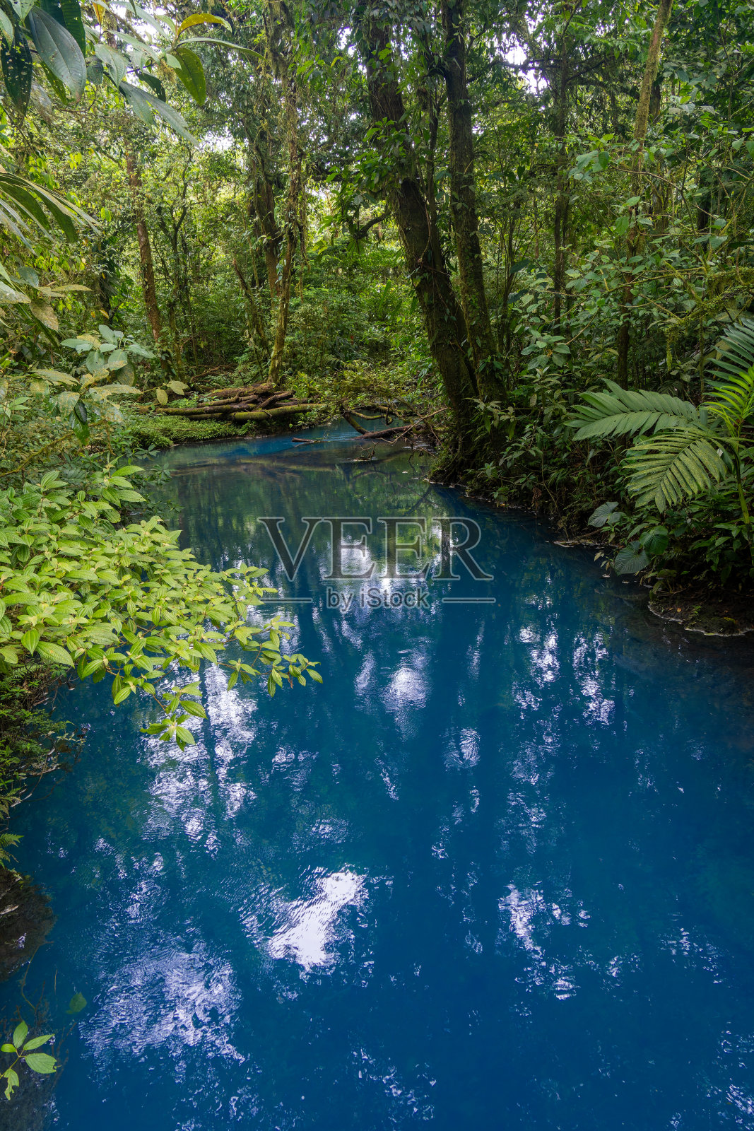 哥斯达黎加的塞莱斯特瀑布和特诺里奥火山国家公园照片摄影图片
