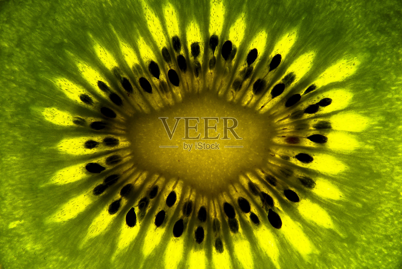 猕猴桃片逆光，近距离观察，白色背景上的绿色水果照片摄影图片