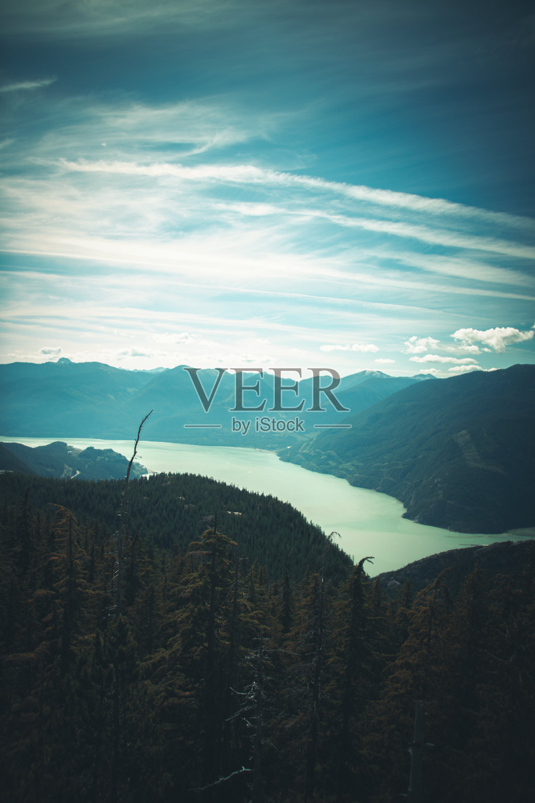 顶部视图照片摄影图片