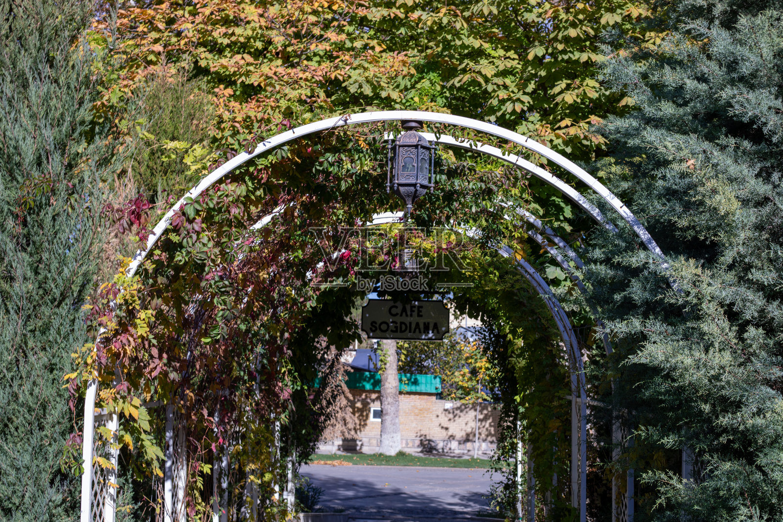 撒马尔罕照片摄影图片